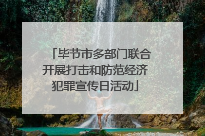 毕节市多部门联合开展打击和防范经济犯罪宣传日活动